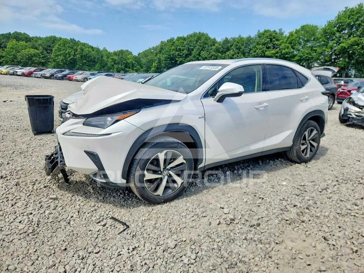 2018 Lexus NX VIN: JTJBARBZ8J2165674 из США - PLC Group