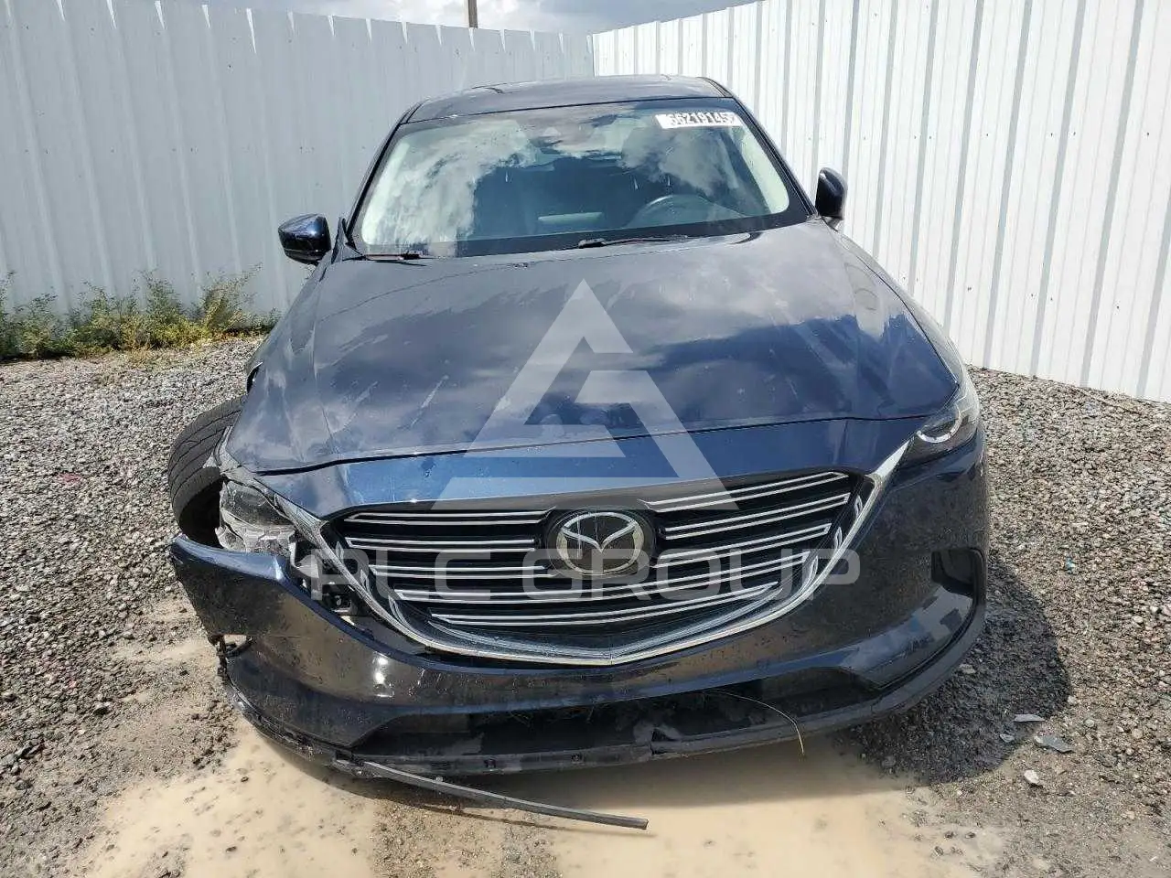 2019 Mazda CX-9 VIN: JM3TCBCY9K0301443 из США - PLC Group