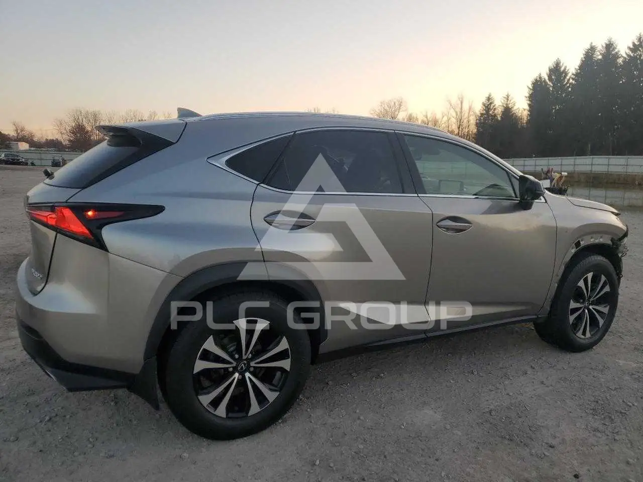 2019 Lexus NX VIN: JTJBARBZ7K2203946 из США - PLC Group