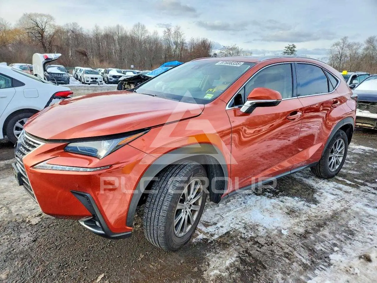2020 Lexus NX VIN: JTJDARDZ5L2220722 из США - PLC Group