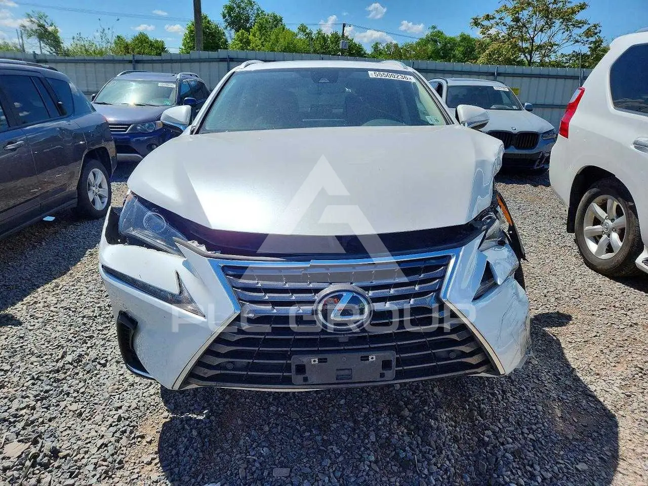 2021 Lexus NX VIN: JTJDARDZ9M5028106 из США - PLC Group