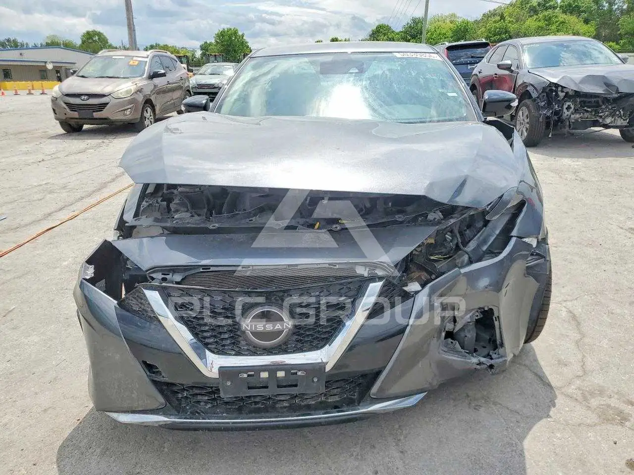 2023 Nissan MAXIMA VIN: 1N4AA6CVXPC511516 из США - PLC Group