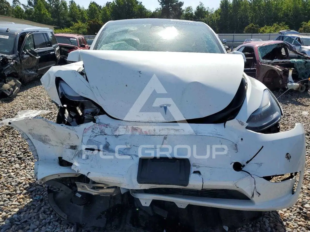 2023 Tesla Model Y VIN: 7SAYGDEE8PF754451 из США - PLC Group