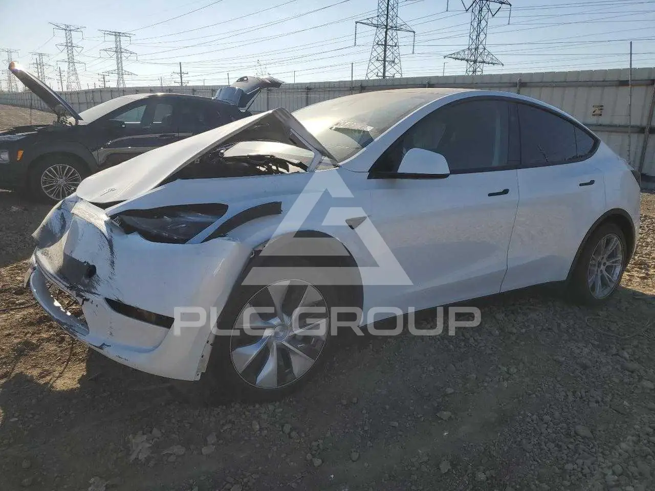 2023 Tesla Model Y VIN: 7SAYGDEE8PF809223 из США - PLC Group