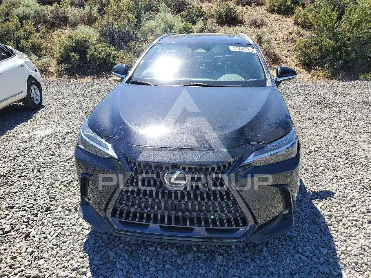 2023 Lexus NX VIN: 2T2GGCEZXPC020545 из США - PLC Group