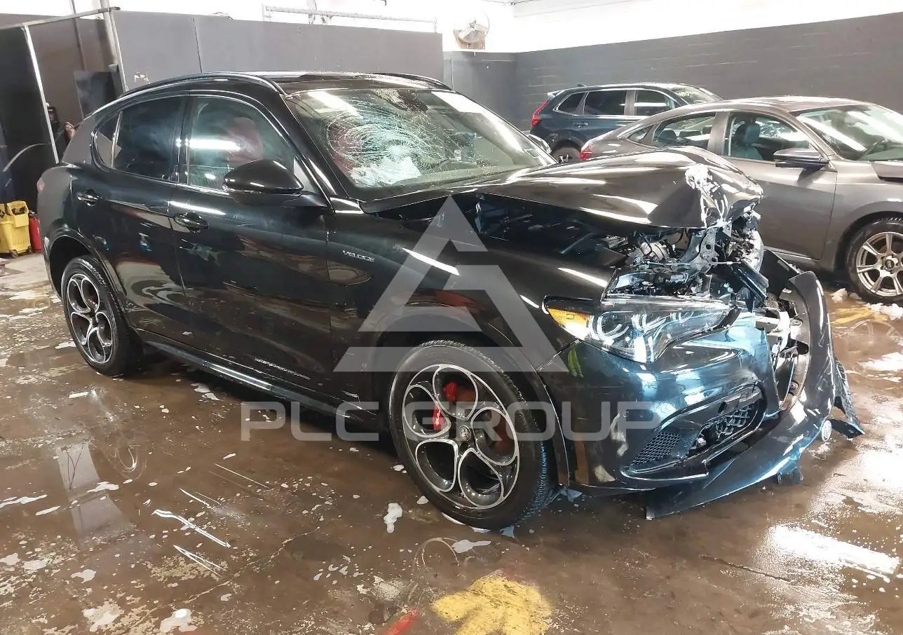 はや8899ページ 2024 Alfa Romeo Stelvio VIN: ZASPAKBN3R7D78809 из США - PLC Group