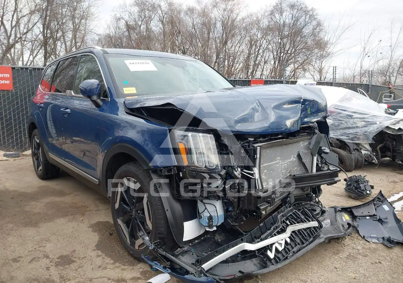 2025 KIA Telluride VIN: 5XYP34GC2SG708261 из США - PLC Group
