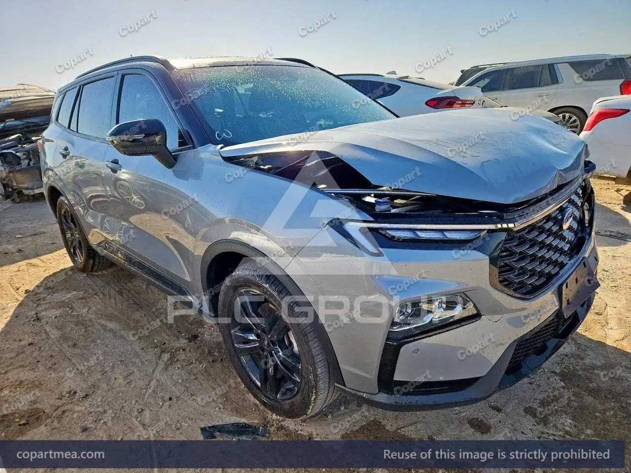 Купить 2025 Ford VIN: LJXCU3BB2SH****** из ОАЭ (Дубаи) в Украине