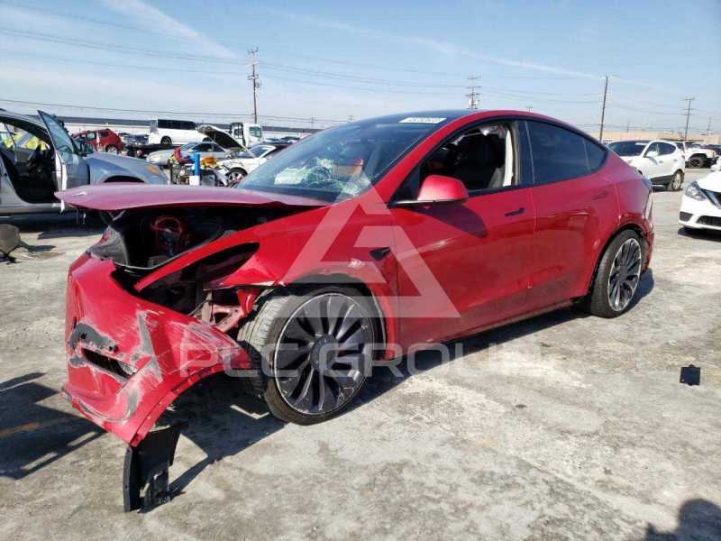 2020 Tesla Model Y photo