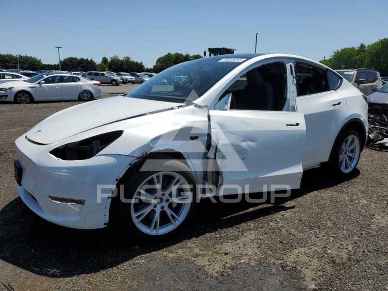 2023 Tesla Model Y photo