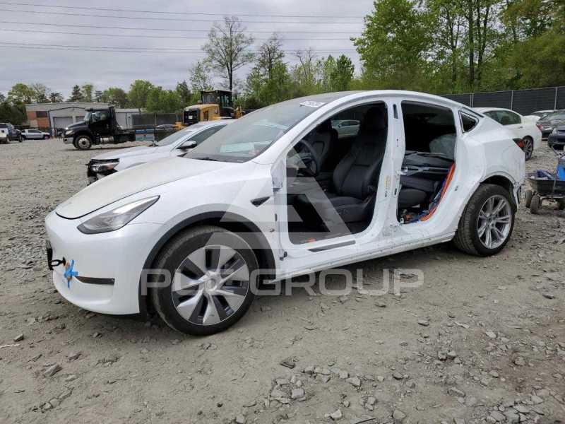 2023 Tesla Model Y photo