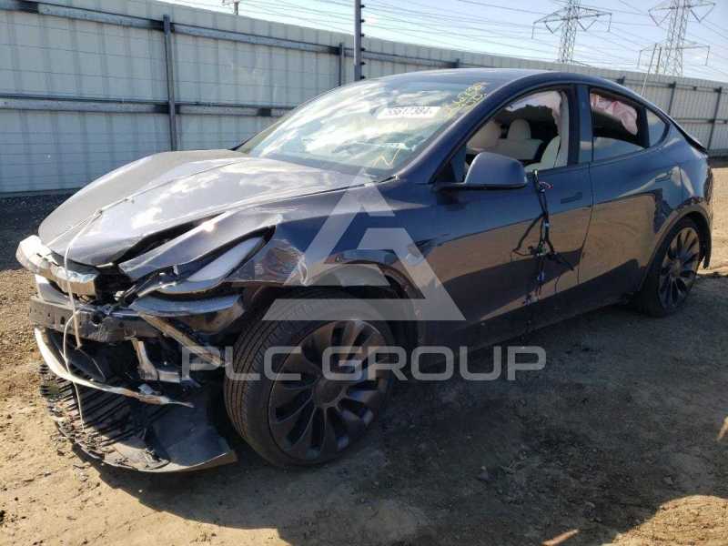 2023 Tesla Model Y photo