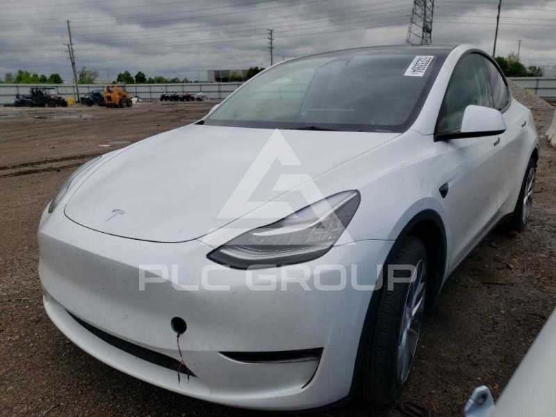2023 Tesla Model Y photo