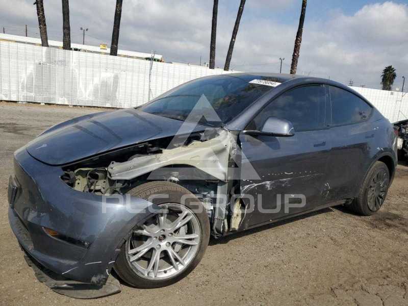 2023 Tesla Model Y фото