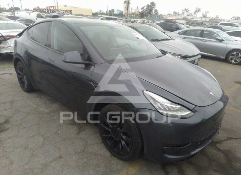 2023 Tesla Model Y photo
