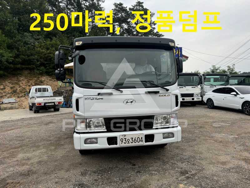 2010 Hyundai Mega truck