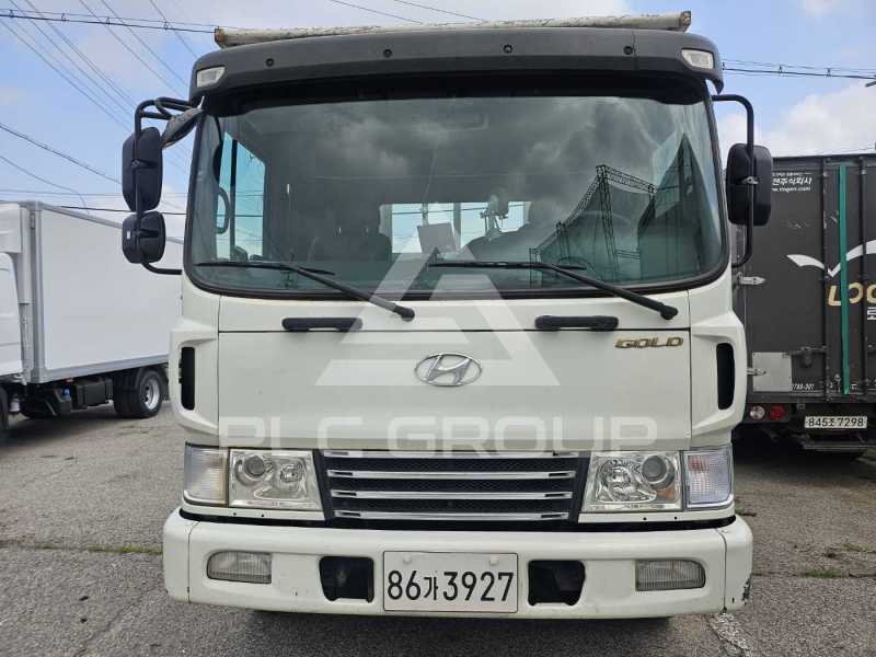 2010 Hyundai Mega truck
