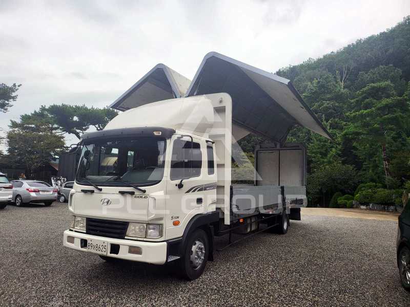 2010 Hyundai Mega truck