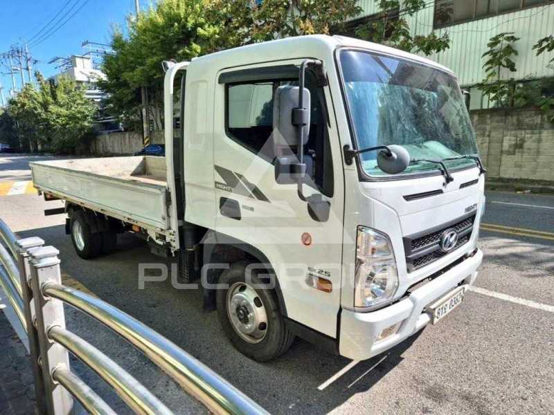 2017 Hyundai Mighty