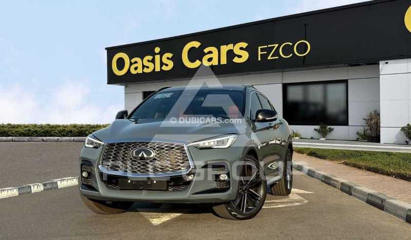 2022 Infinity Qx55 Luxe
