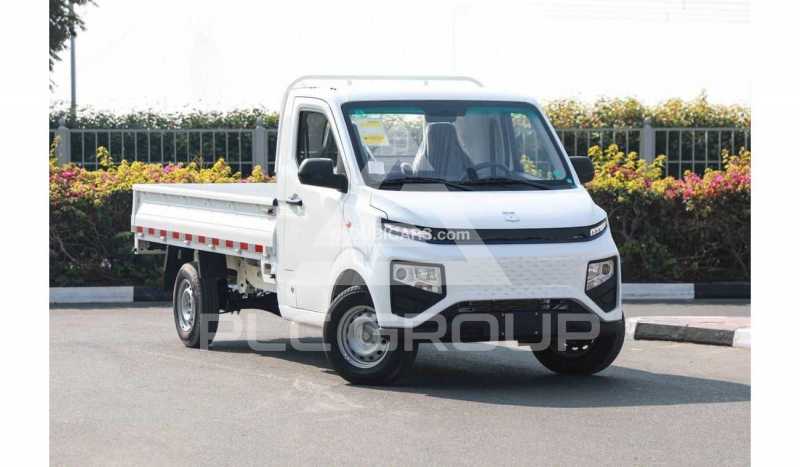 2024 Geely Farizon