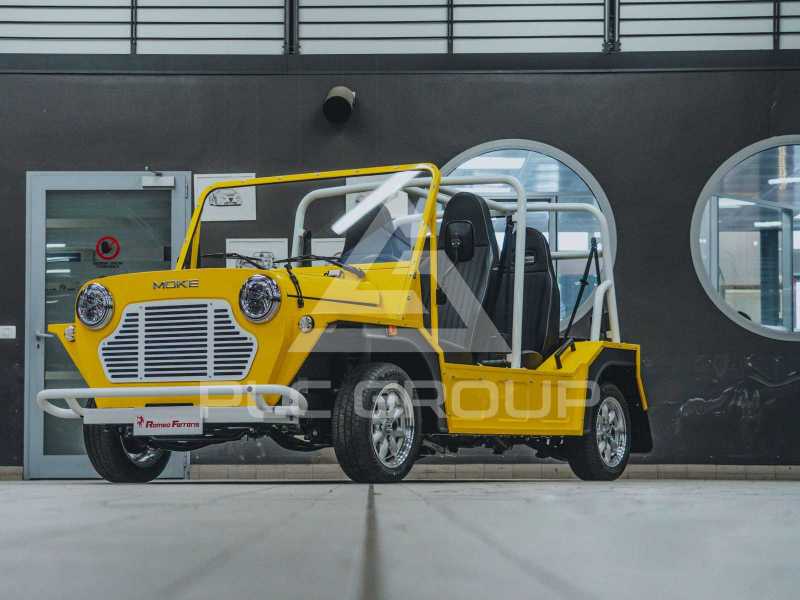 2024 Mini 