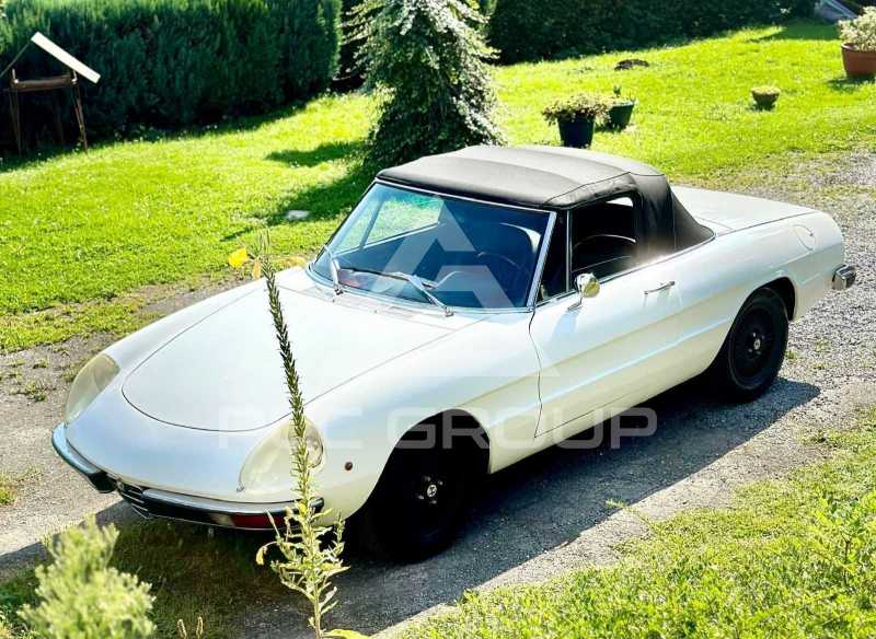 1972 Alfa Romeo Spider