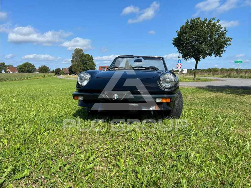 1989 Alfa Romeo Spider