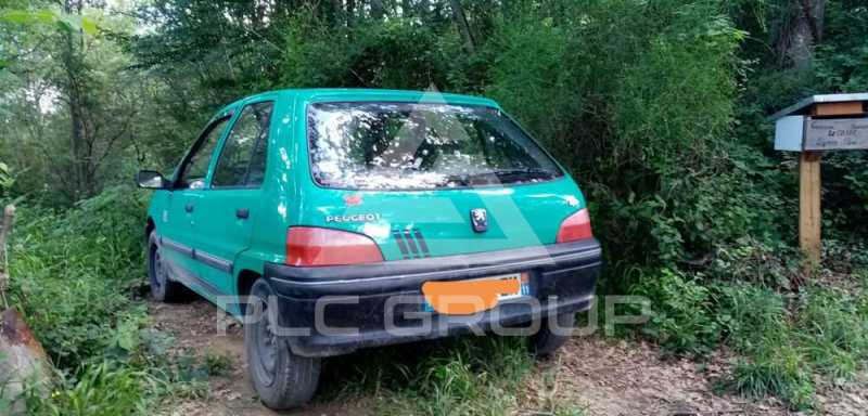 1996 Peugeot 106