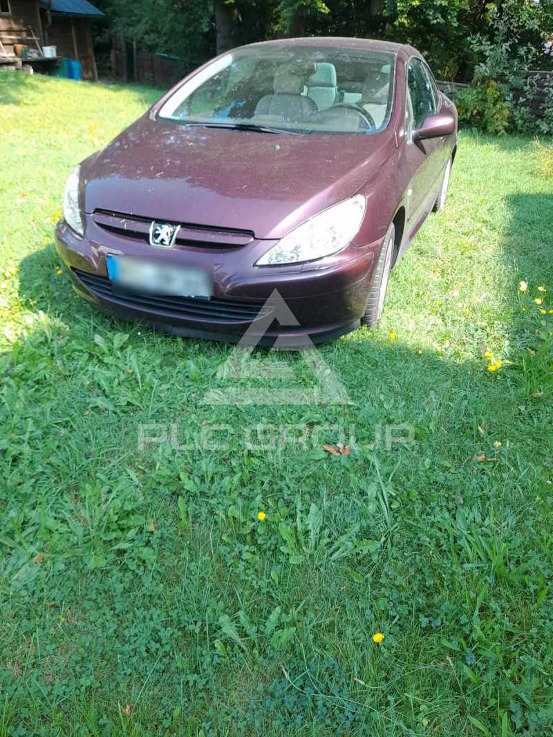 2004 Peugeot 307