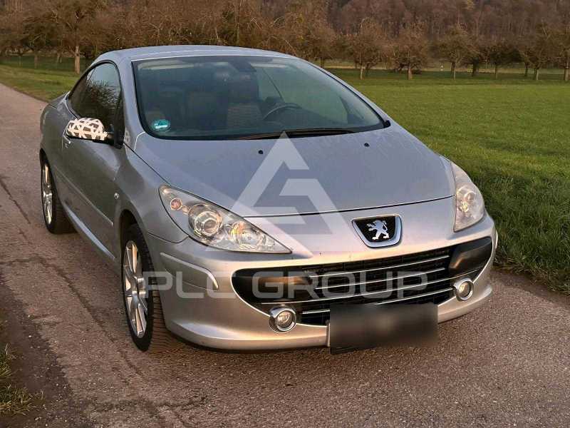 2005 Peugeot 307