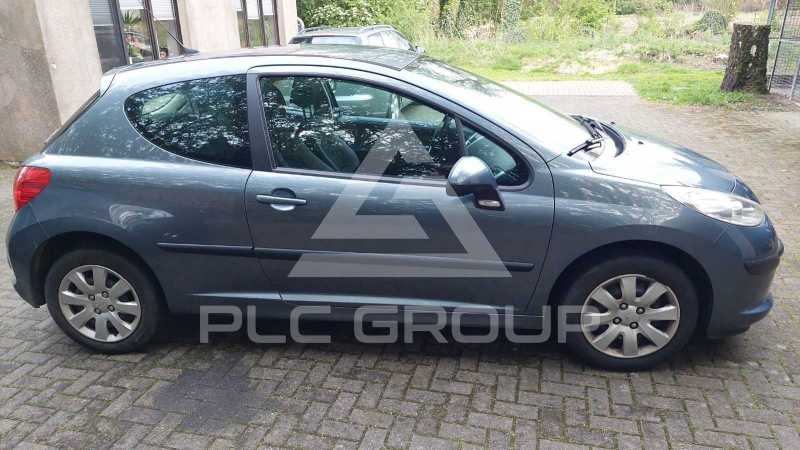 2005 Peugeot 207