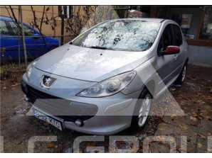 2007 Peugeot 307