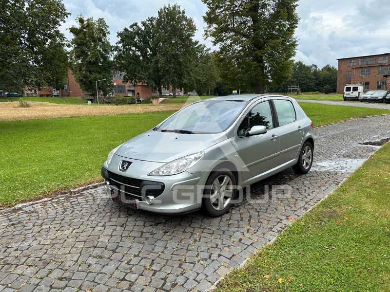2007 Peugeot 307