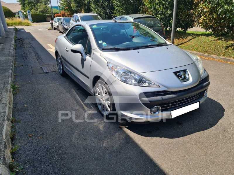 2007 Peugeot 207