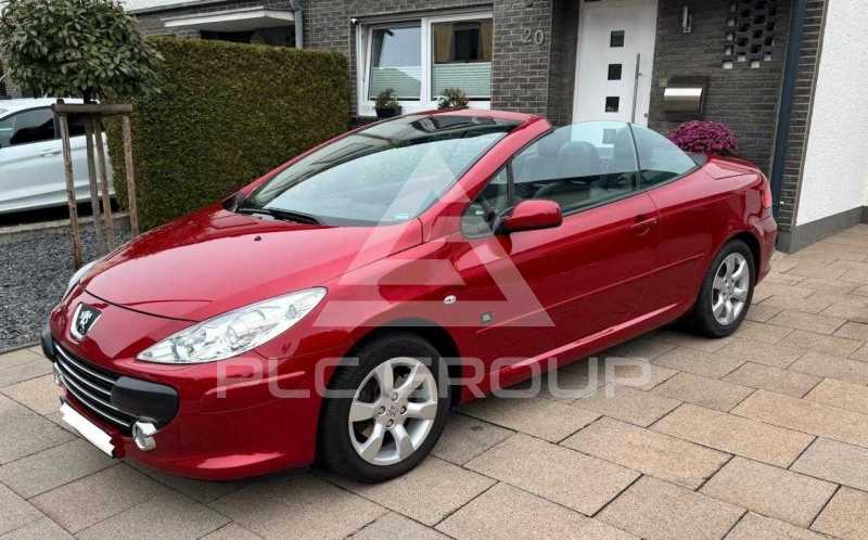 2008 Peugeot 307