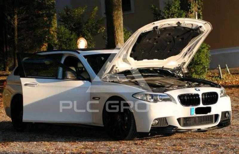 2011 BMW 523