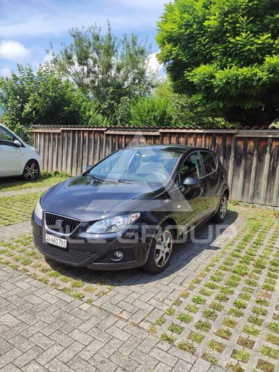 2011 Seat Ibiza