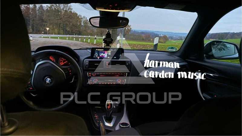 2013 BMW 120