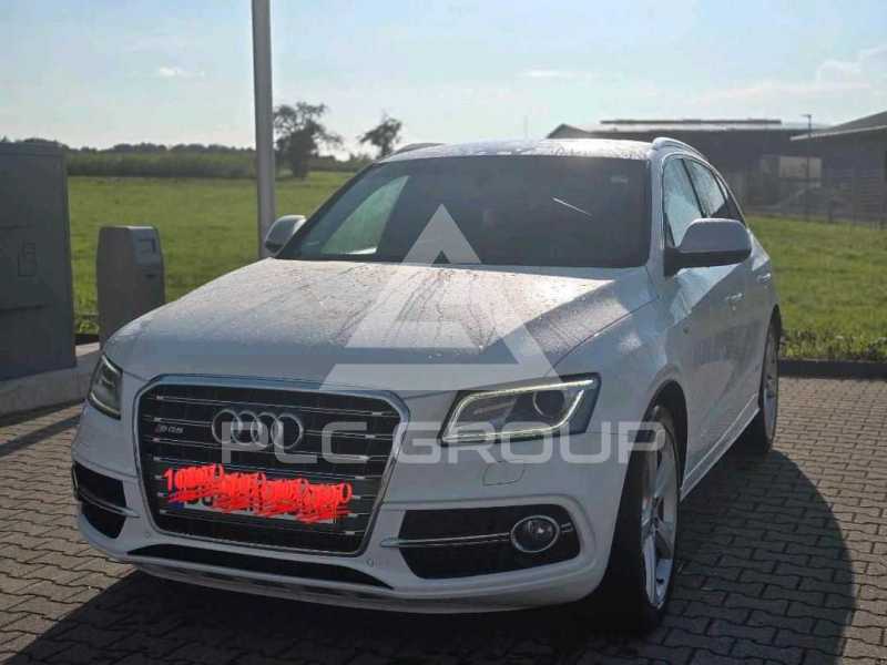 2013 Audi SQ5