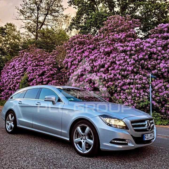 2013 Mercedes Benz CLS-Class