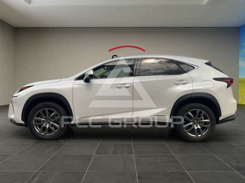 2018 Lexus NX