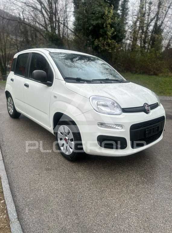 2019 Fiat Panda