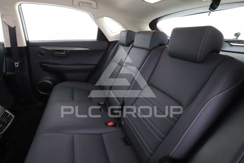 2019 Lexus NX