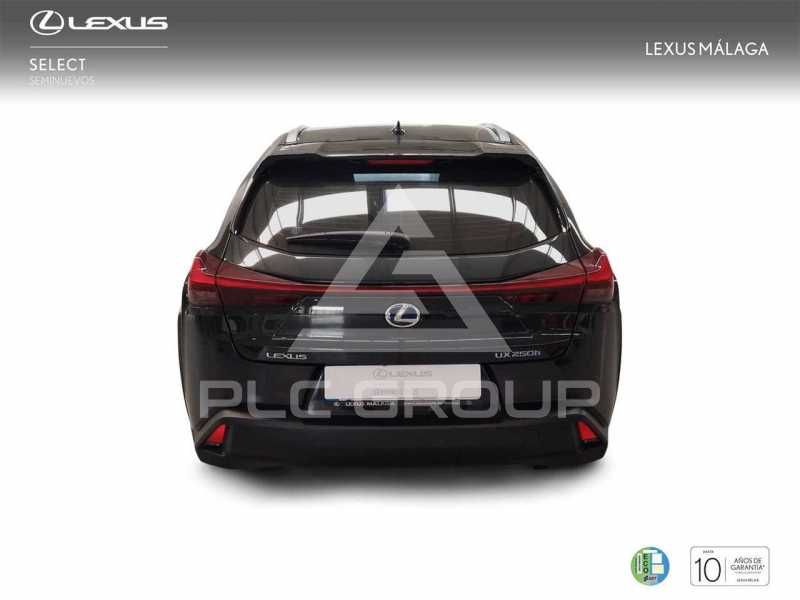 2019 Lexus UX