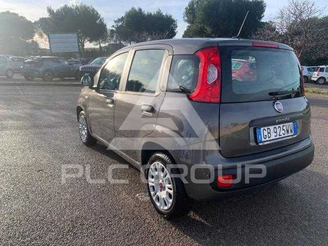 2020 Fiat Panda