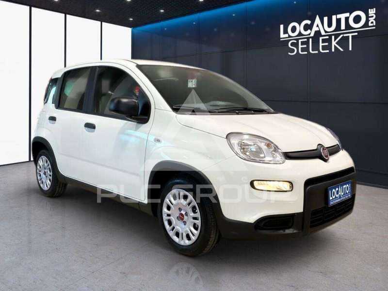 2022 Fiat Panda