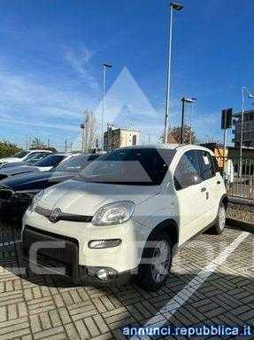 2024 Fiat Panda