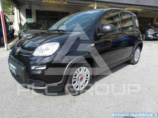 2024 Fiat Panda