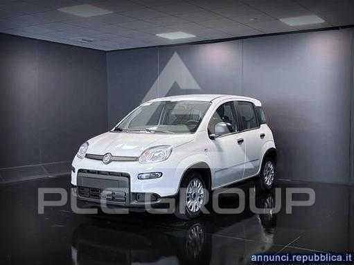 2024 Fiat Panda